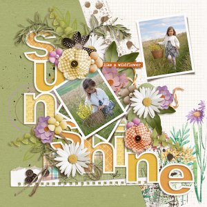 Sunshine