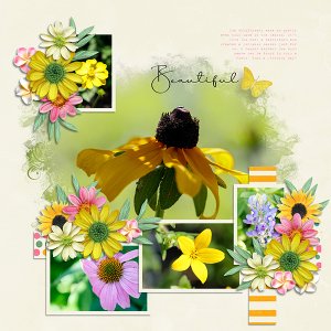 Wildflowers