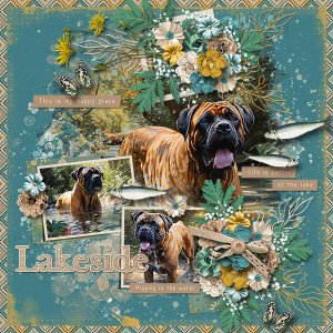 Lakeside.jpg