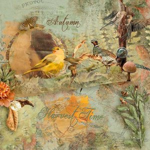 dutchdream_journeyoftheseason_02.jpg