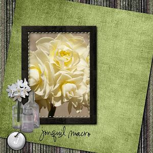 Jonquils Macro