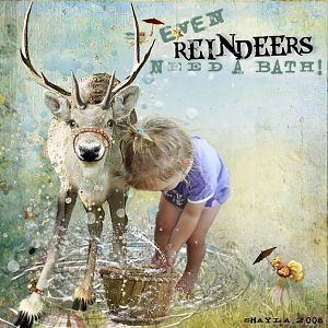Reindeer's Bath