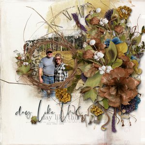 Reflections - This Day