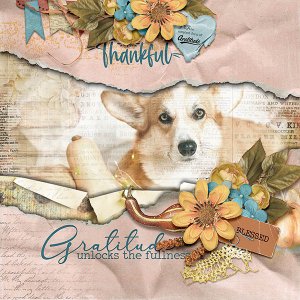 Gratitude