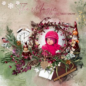The Magic of the First Snow