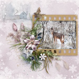 Beauty in the Country