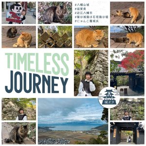Timeless Journey