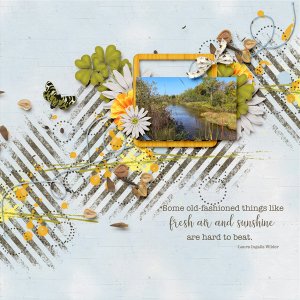 Fresh Air and Sunshine