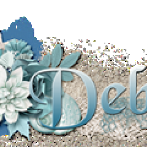 Letsscrap Siggy