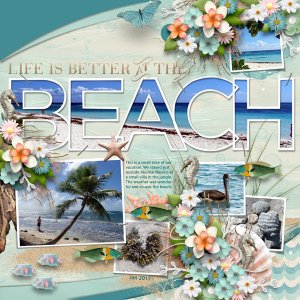 The Beach