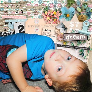 Dream Reflections-to-remember