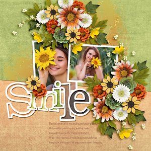 A Glass Of Ice:Orange Juice-Bundle