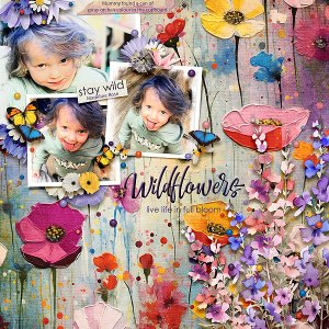 Wildflowers