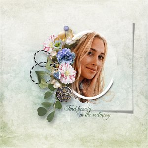 find beauty in the ordinary