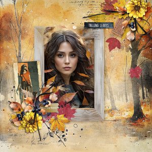 Season of Beauty