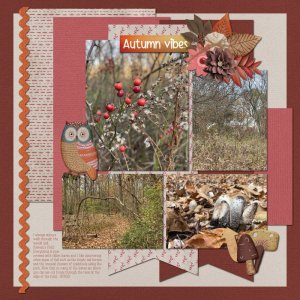 Autumn Vibes 11-3-23