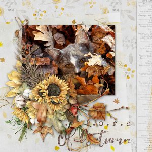 Autumn leaves