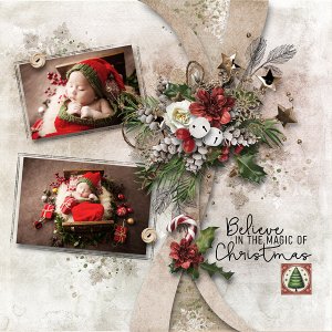 Festive Season