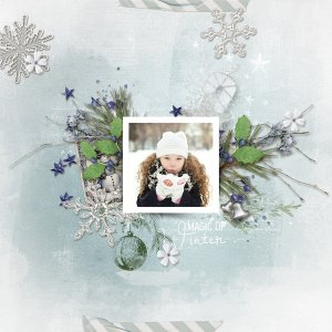 Magic of winter