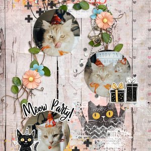 Meow Party