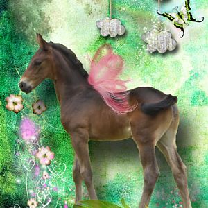 Fairy foal