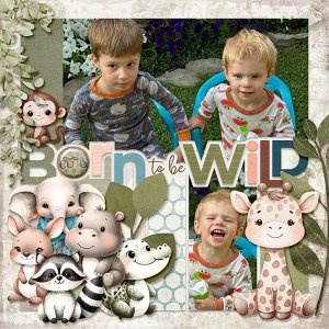 Wild Ones