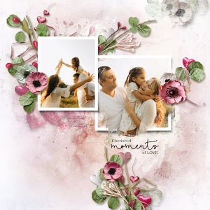 Cherished Moments of Love