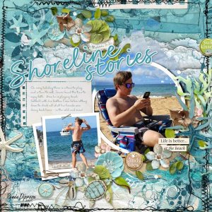 Shoreline Stories