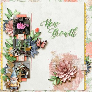 New Growth
