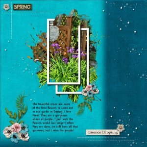Week 4 Signature Challenge - BBD.jpg