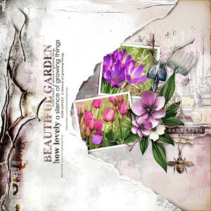 A Day In The Garden