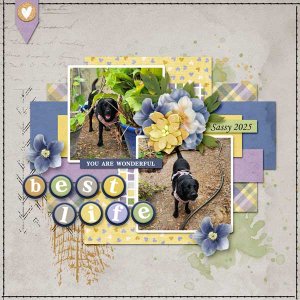 Best Life - Template Challenge
