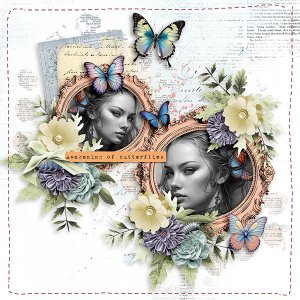 Change like a Butterfly