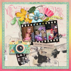 HSA-capture-it-mini---Kay