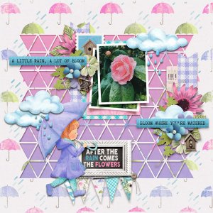 raindrops & blooms
