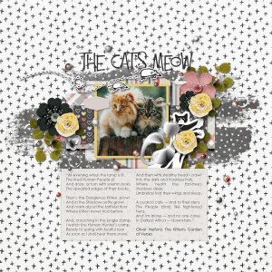 Cats