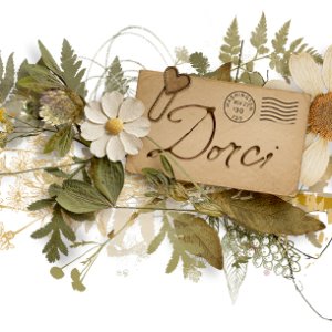 May Siggie