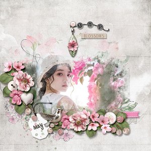 May Blossoms