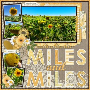 2023-03-13_MilesAndMiles