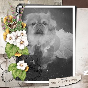 sweet Dixie.jpg