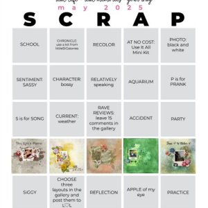 2025-05_pbp_scrapbook_bingo-anja01.jpg