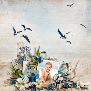 seaside