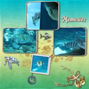 Aquarium.jpg