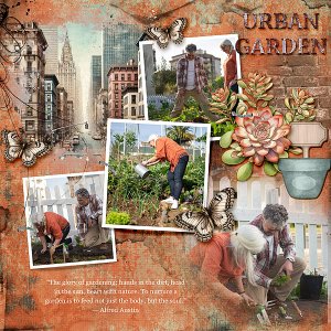 Urban Garden