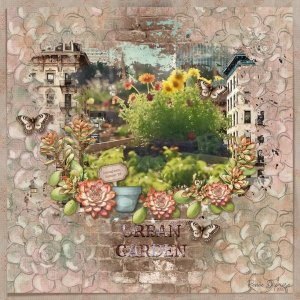 Urban Gardens