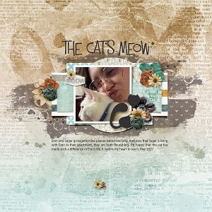 Cat's Meow