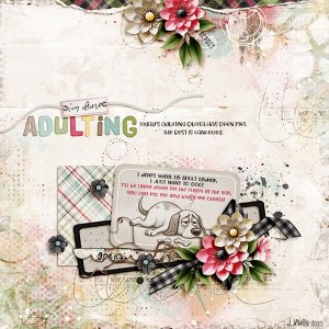 I'm-done-adulting