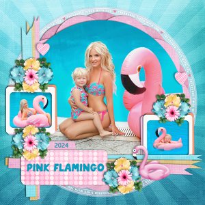 Flamingo