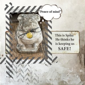 Safe 8x8 72.jpg