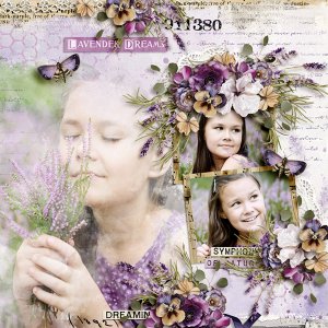 lavender-dreams